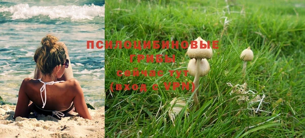 прущий лед Абаза