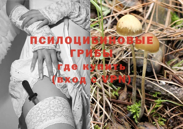 а пвп мука Алексин