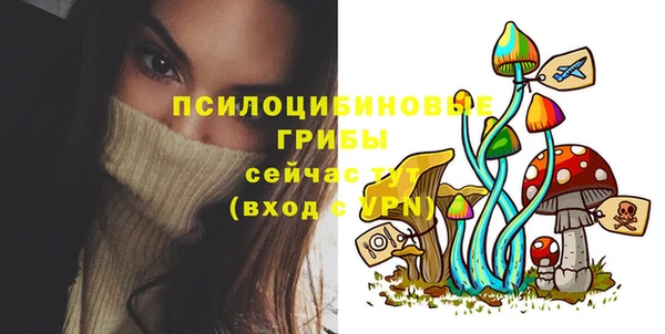 apvp Абинск