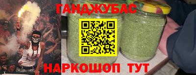сатива Новозыбков