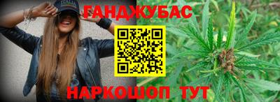 сатива Новозыбков