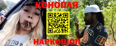 сатива Новозыбков