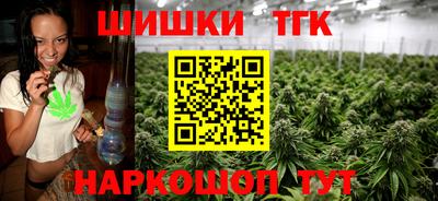 сатива Новозыбков