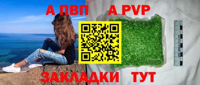 сатива Новозыбков