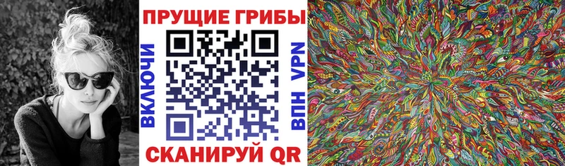 Галлюциногенные грибы Magic Shrooms  Электрогорск 