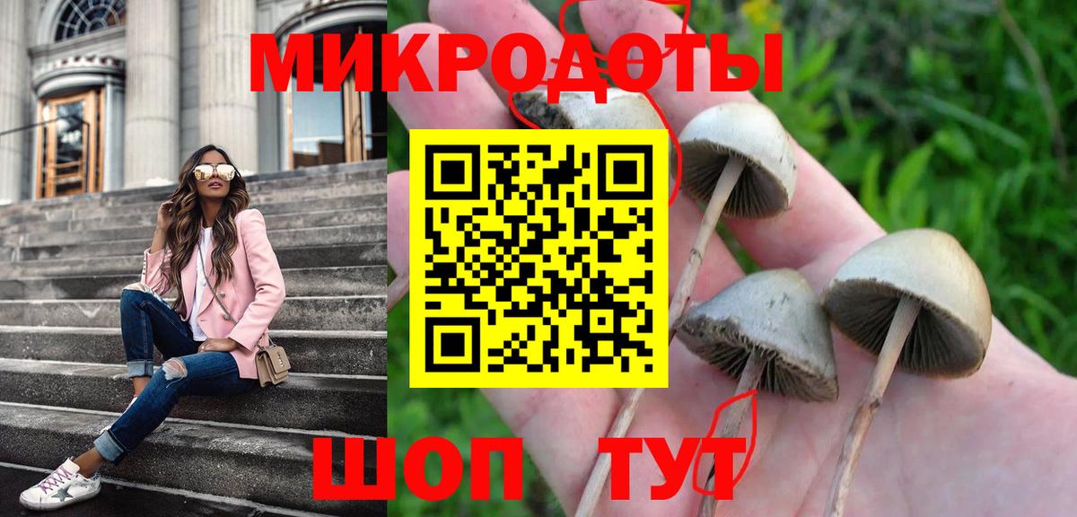 Псилоцибиновые грибы Cubensis  Галлюциногенные грибы GOLDEN TEACHER  Электрогорск  Вход с VPN 