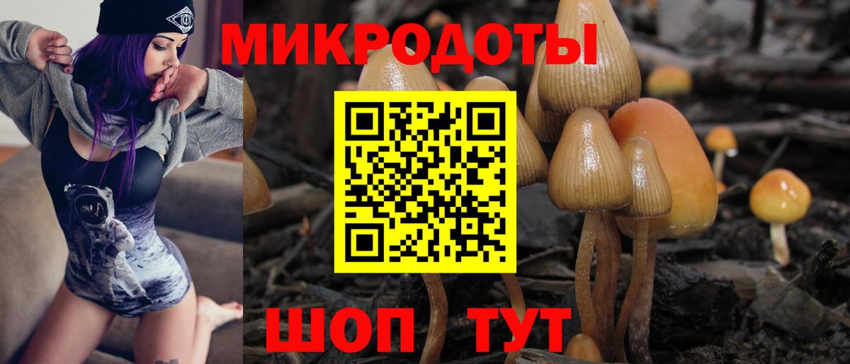 Псилоцибиновые грибы GOLDEN TEACHER Электрогорск